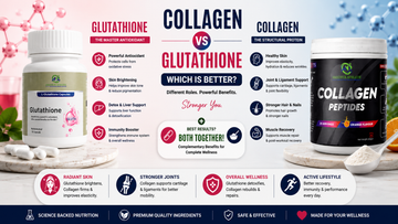 collagen vs gluthathoine